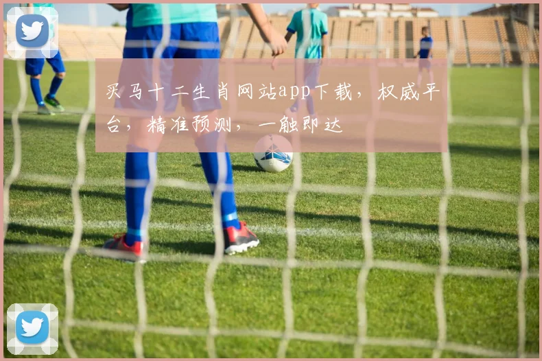 买马十二生肖网站app下载，权威平台，精准预测，一触即达