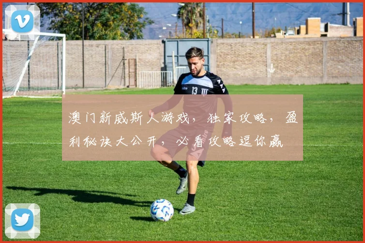 澳门新威斯人游戏，独家攻略，盈利秘诀大公开，必看攻略逗你赢