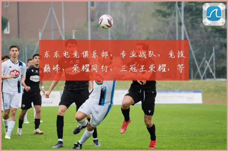 东东电竞俱乐部，专业战队，竞技巅峰，荣耀同行，三冠王荣耀，等你加入