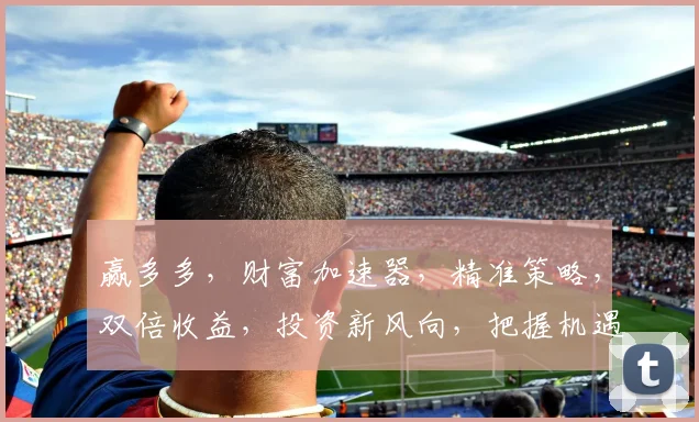 赢多多，财富加速器，精准策略，双倍收益，投资新风向，把握机遇