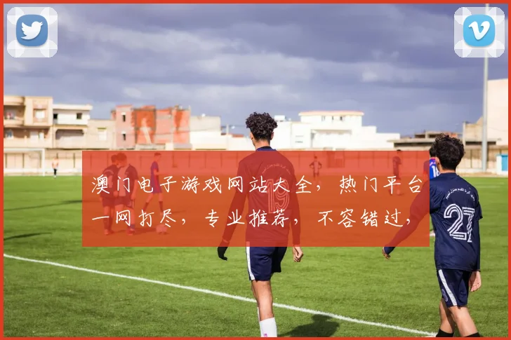 澳门电子游戏网站大全，热门平台一网打尽，专业推荐，不容错过，尽享游戏乐趣