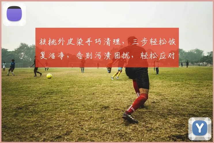 核桃外皮染手巧清理，三步轻松恢复洁净，告别污渍困扰，轻松应对